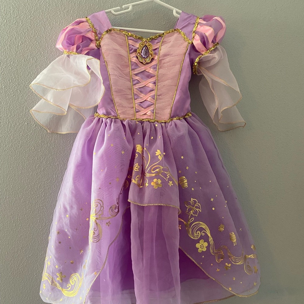 Disney Purple and Gold Kids Princess Costume